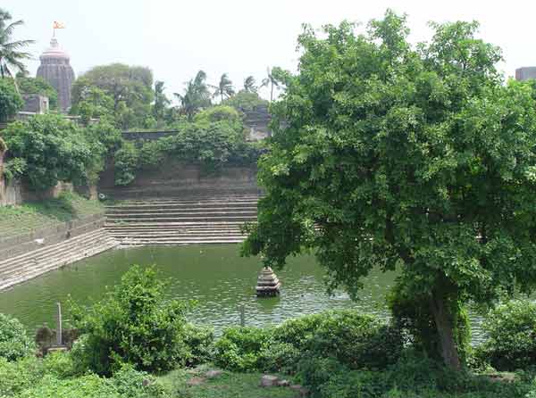 Файл:The Kunda in front of Sarvabhauma Bhattacharyya's house, with the Jagannath Temple in the background.jpg
